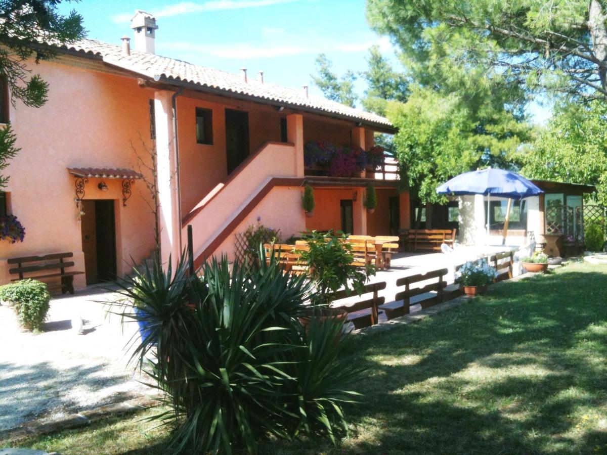 Agriturismo Casale il Gallo Bianco - Hizvo