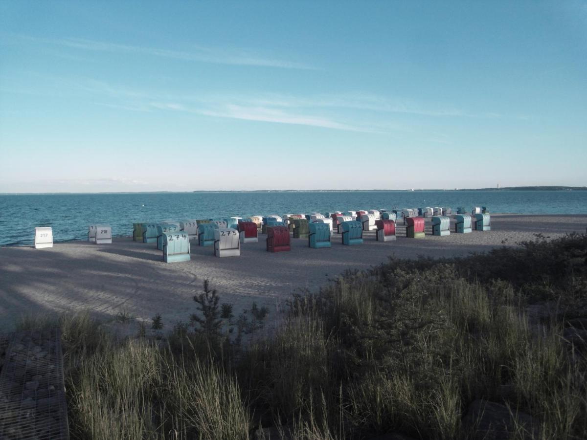 Lütte Höög - Housity