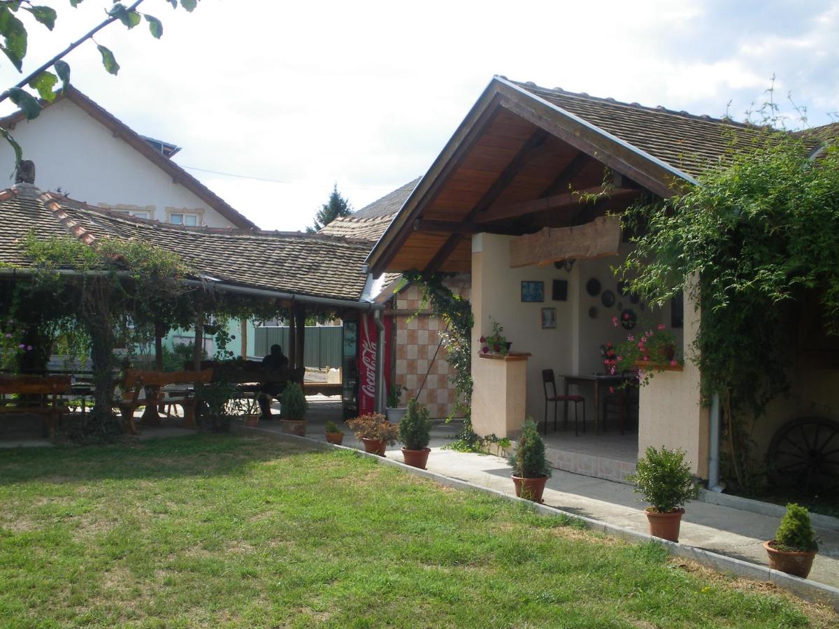B&B Sandrina - Housity