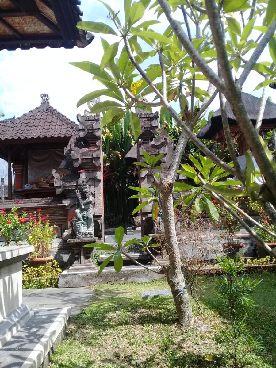 Darta House - Housity