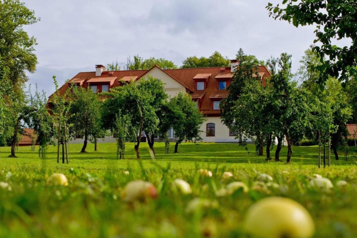 Kalnmuižas pils - Housity