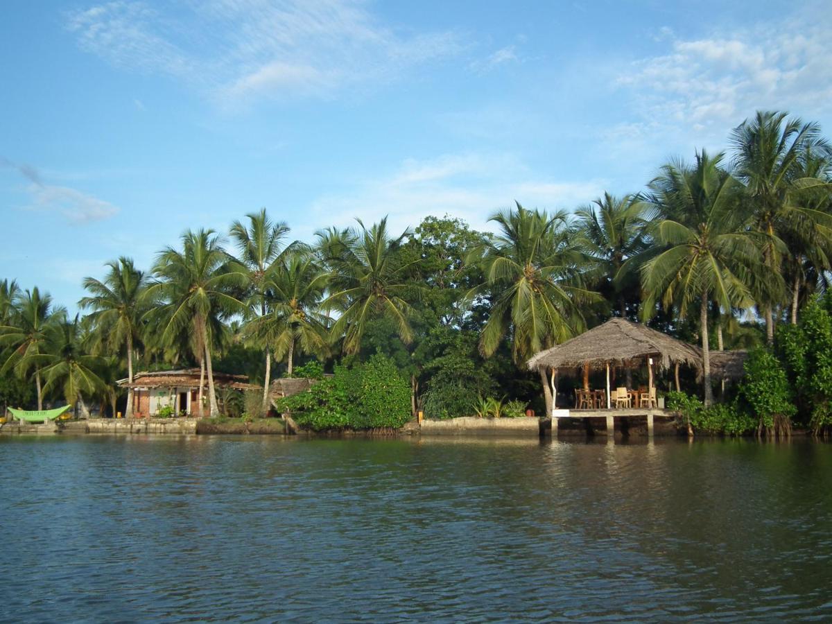 Coconut Island - Housity