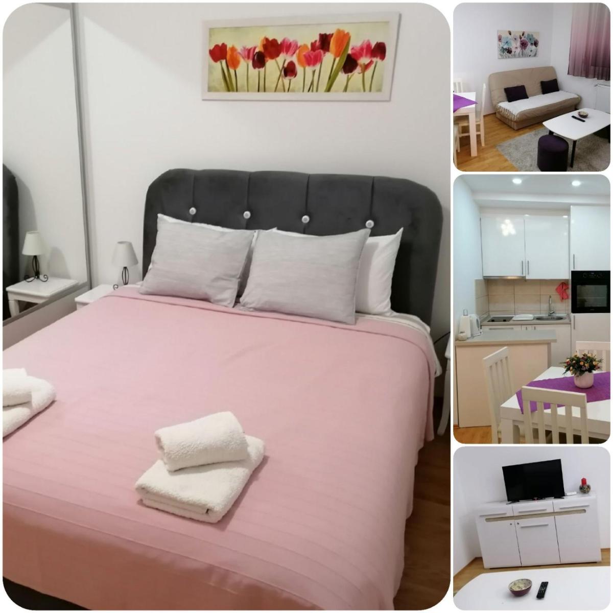 Apartment Kraljica - Housity