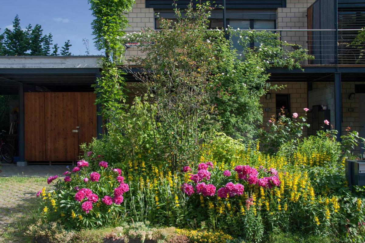 B&B Bättwil - Housity
