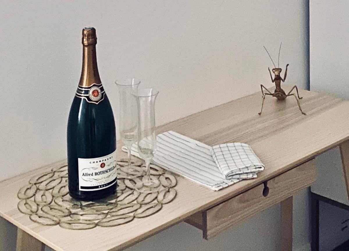 Maison Chic the Basque Bed and Breakfast - Housity