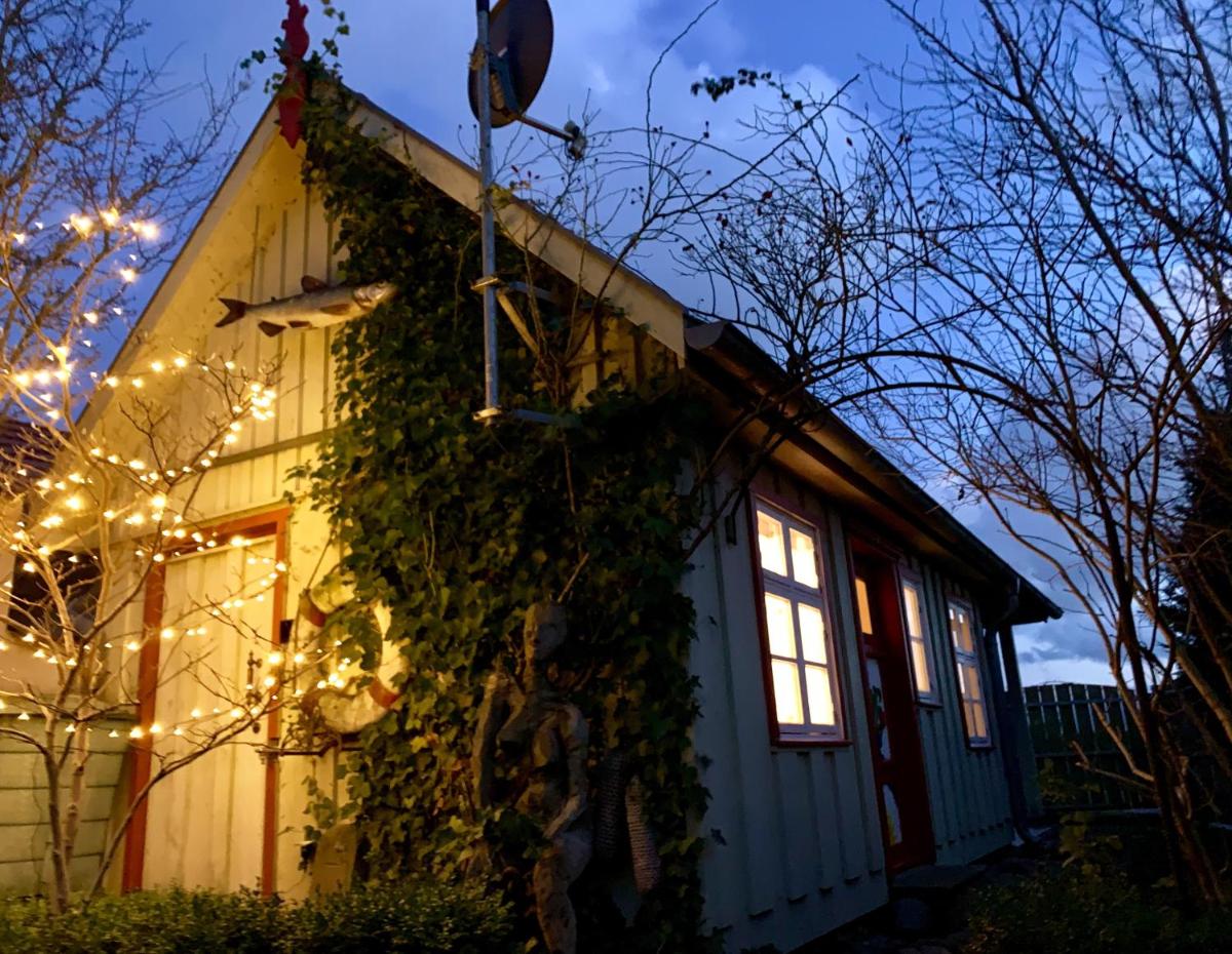 Kleines Haus am Hafen - ruhig und grün am Ortsrand - Housity