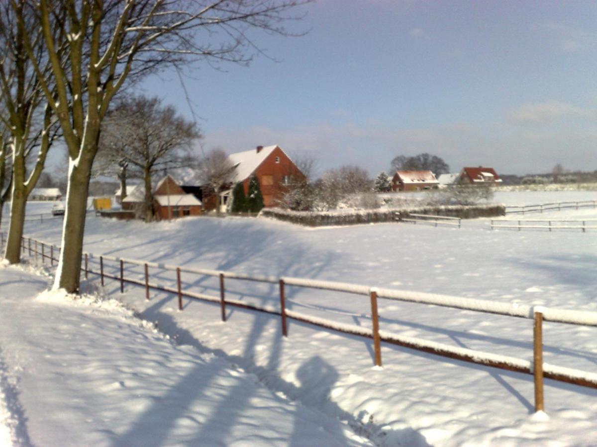 Suitetrails - Ferienwohnung 