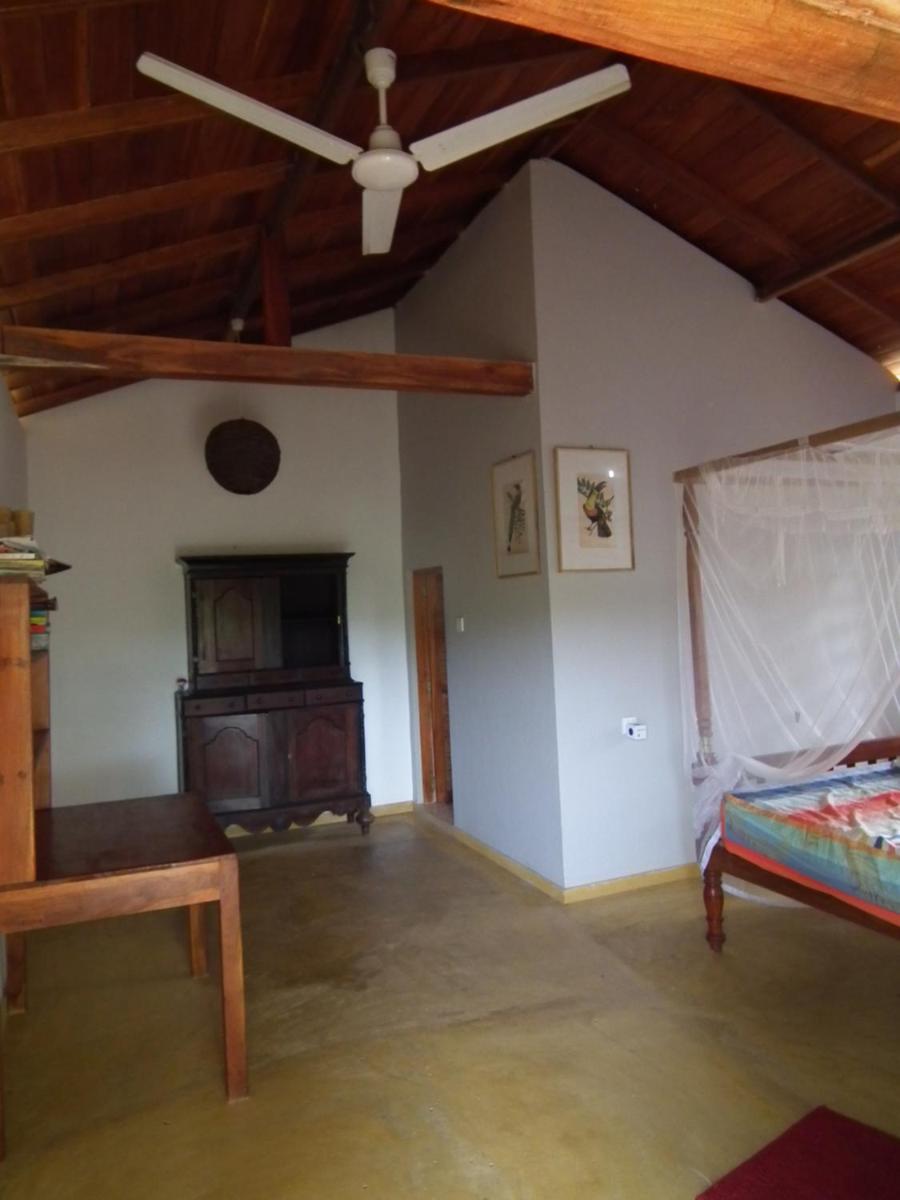 Coconut Island - Housity
