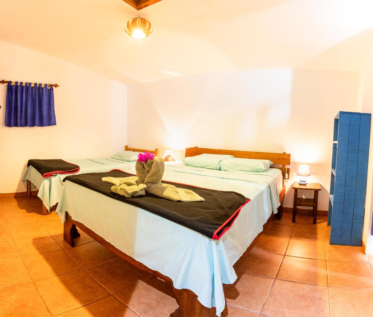 Pochote Lodge - Housity