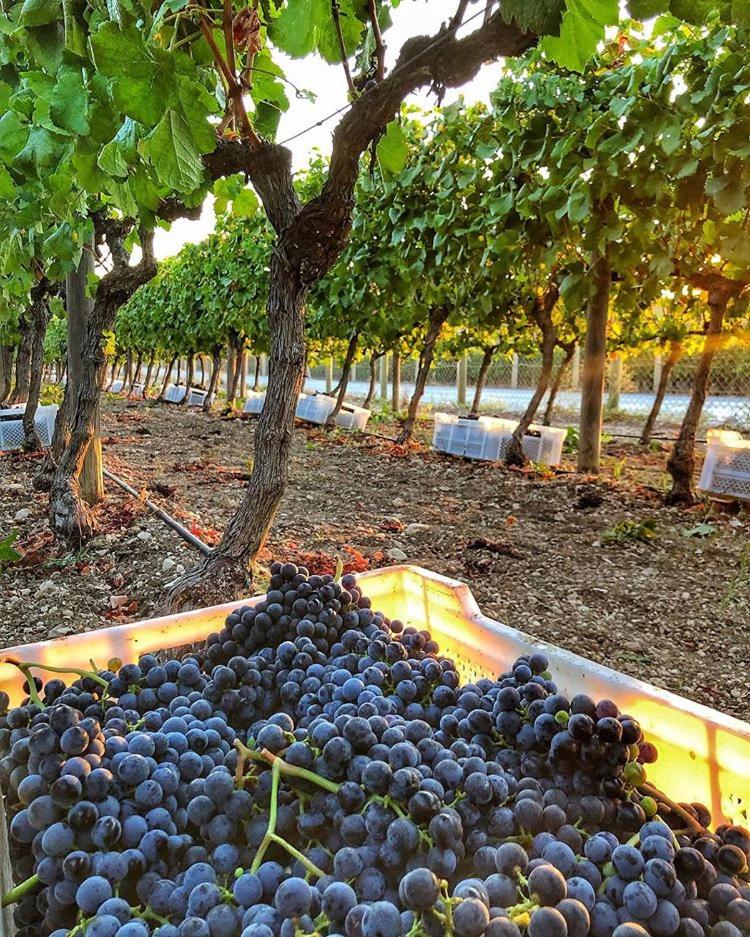 Two Rooms Hotel - Housity