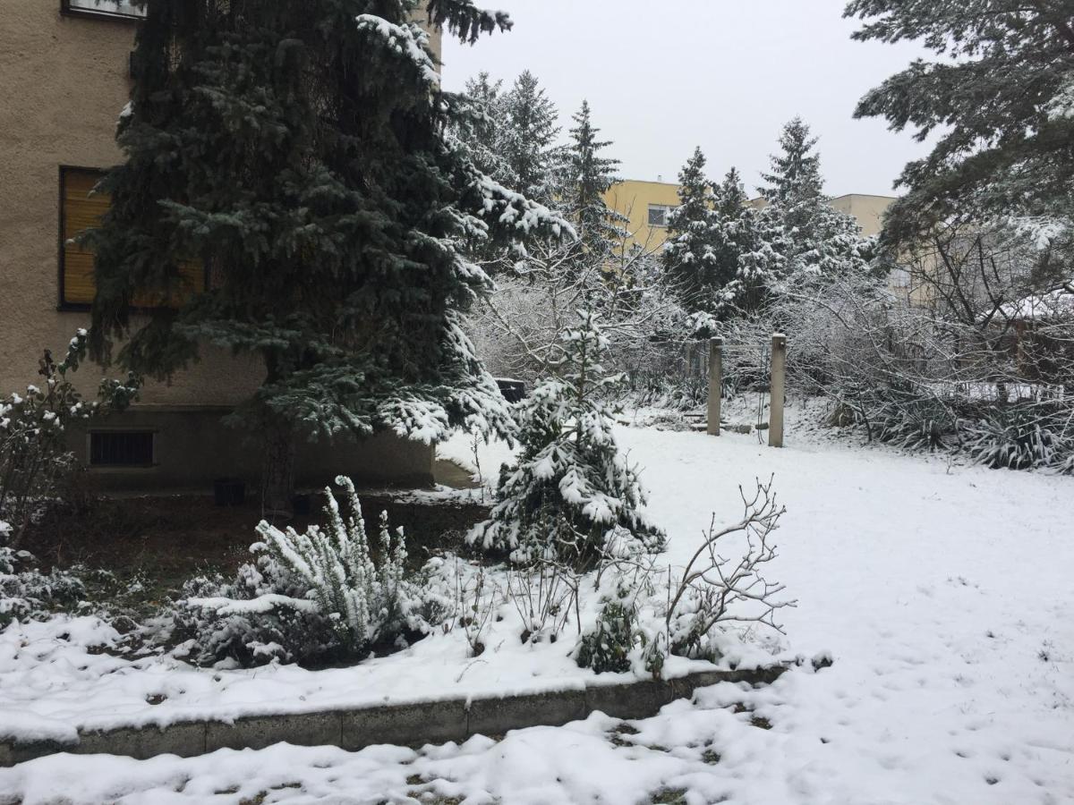 Next to university - Housity