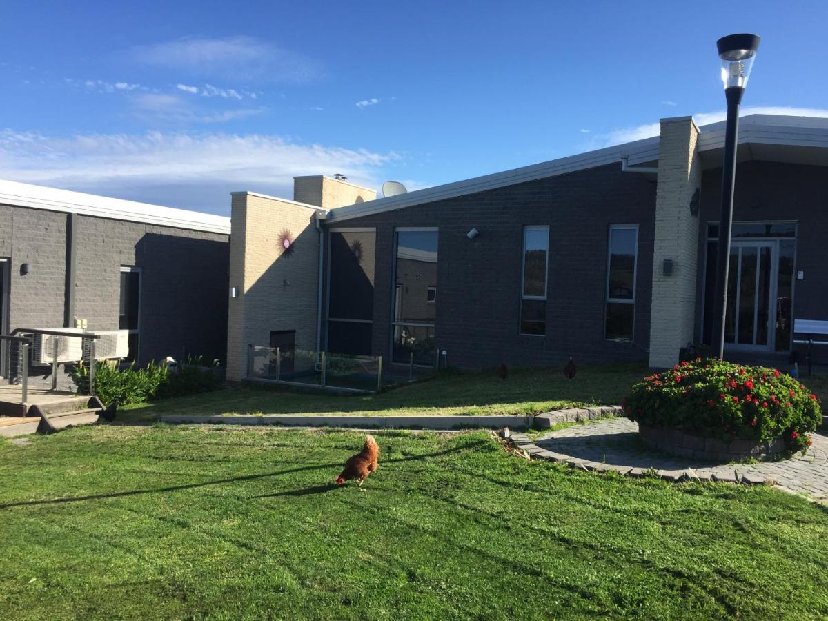 Velika’ - Housity