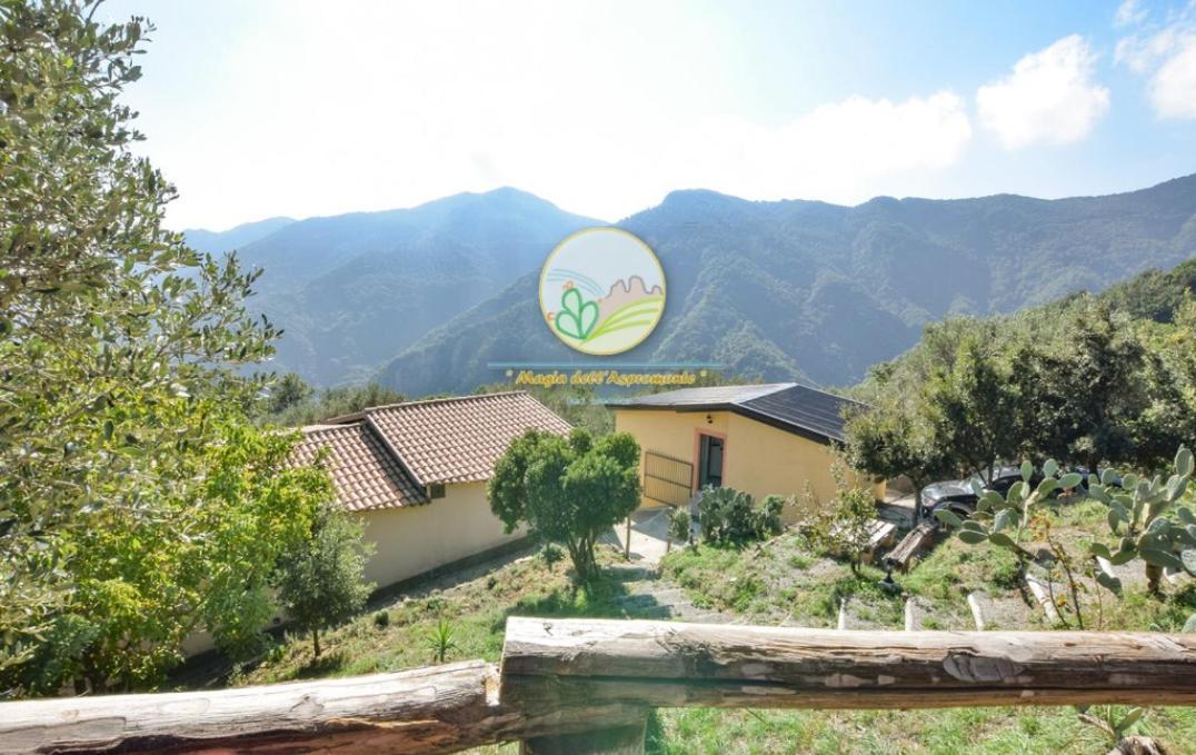 Magia dell'Aspromonte - Housity