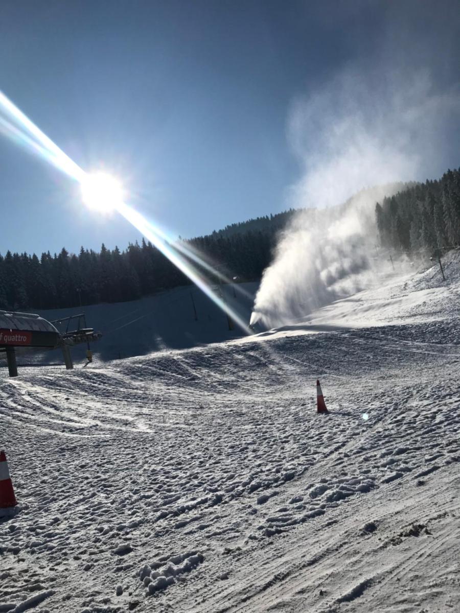 Ski kuca Pahuljica - Housity