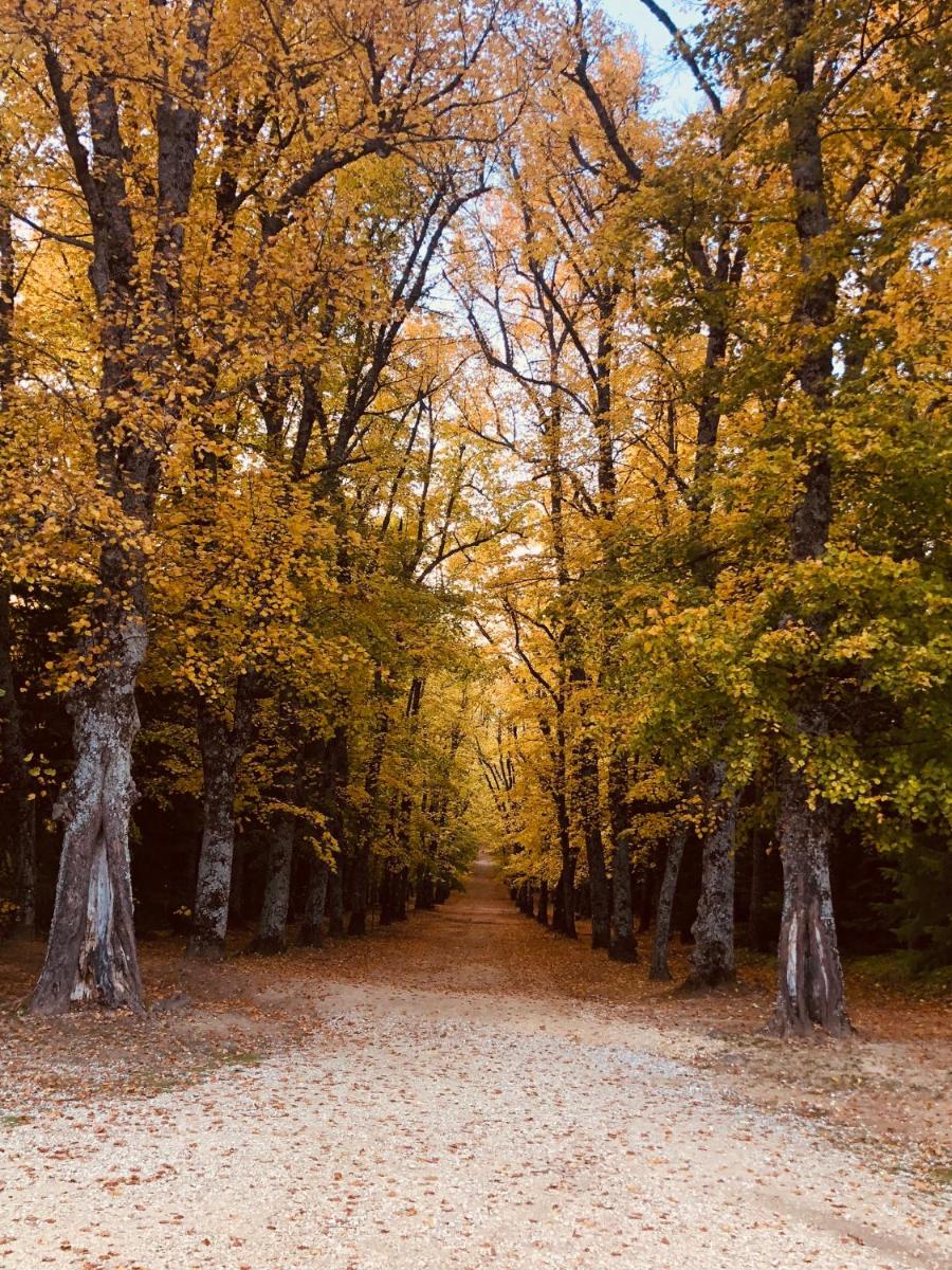 Paisaje cerca de este hotel