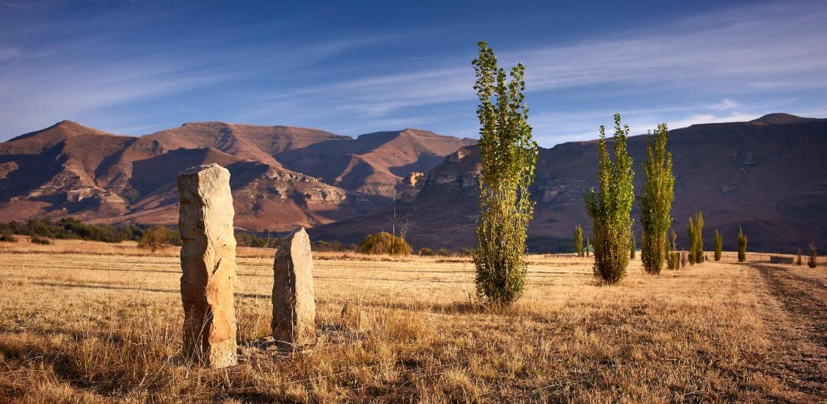 Dynasty Red Mountain Ranch - Housity