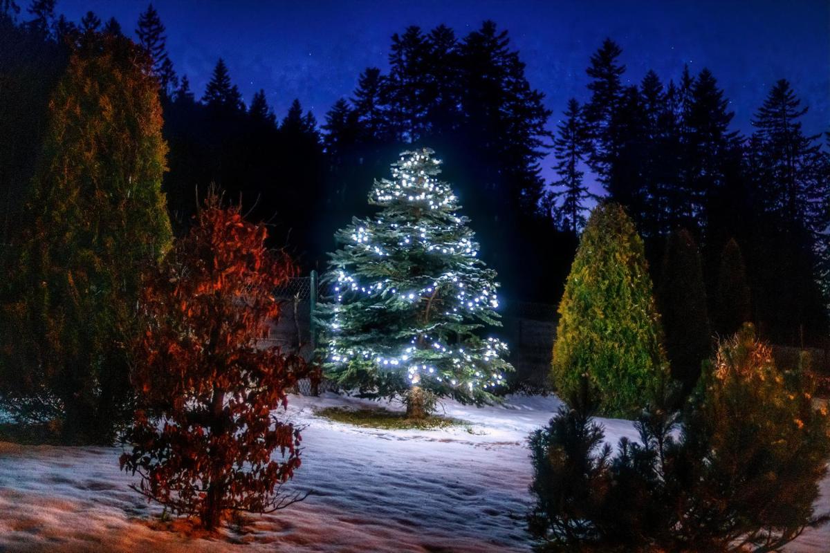 Apartamenty Osada Nosal - Housity