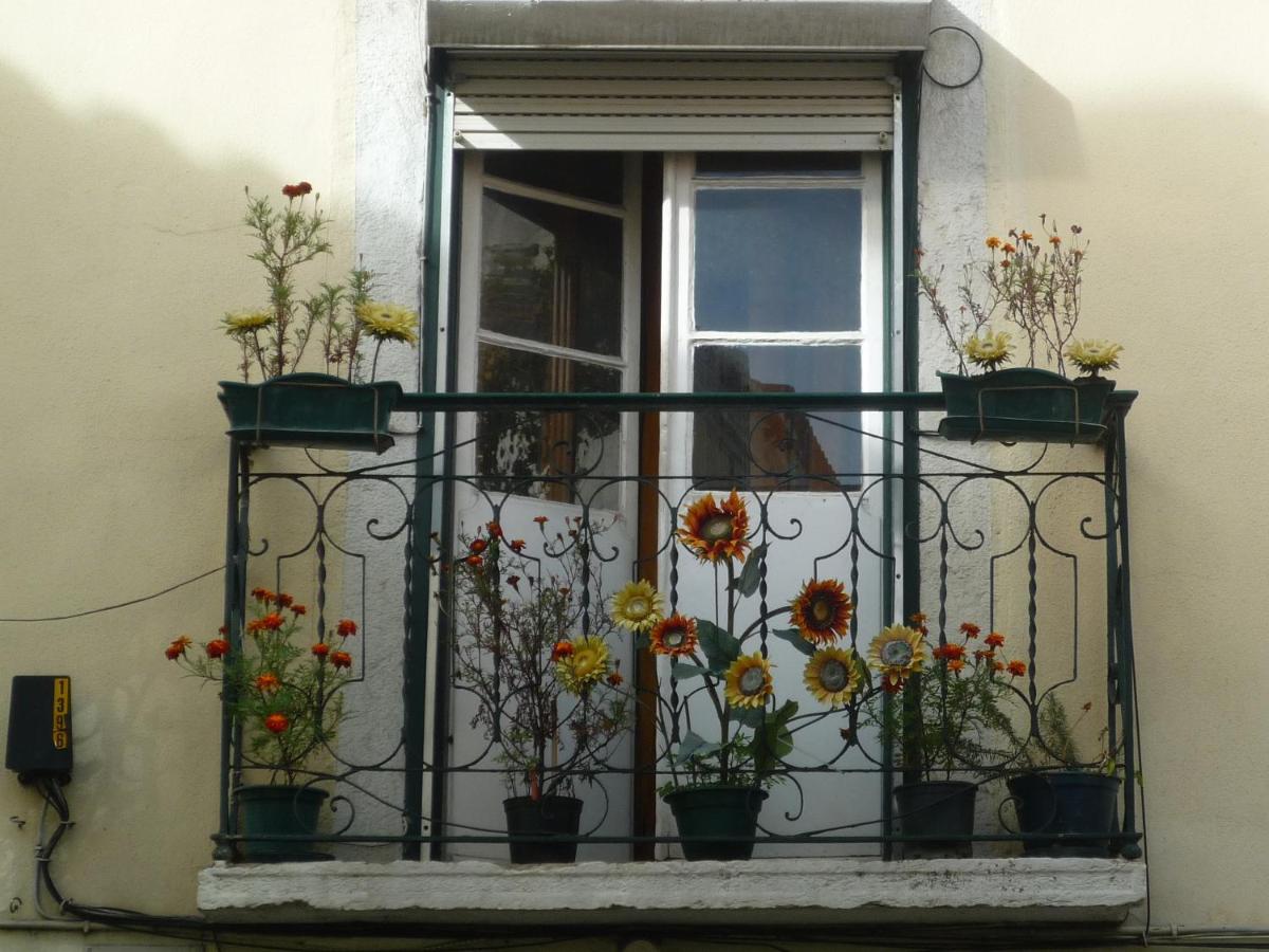 Casas do Castelo - Hizvo