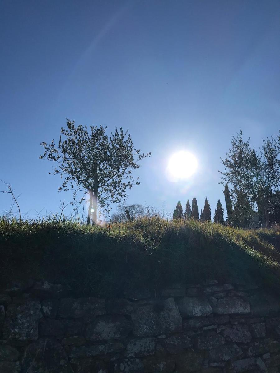 Paola's Villa, Tuscany - Housity