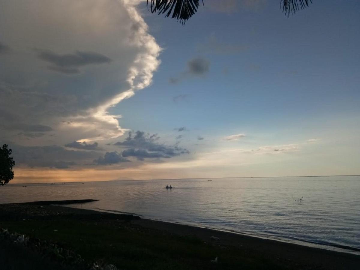 Lilacita Beach Lovina - Housity