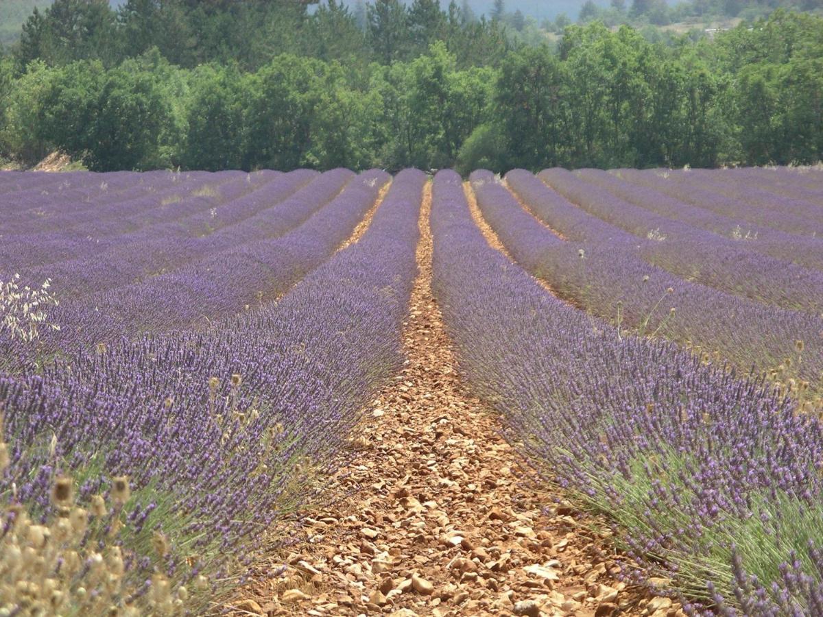 Paysage naturel près de l'hôtel