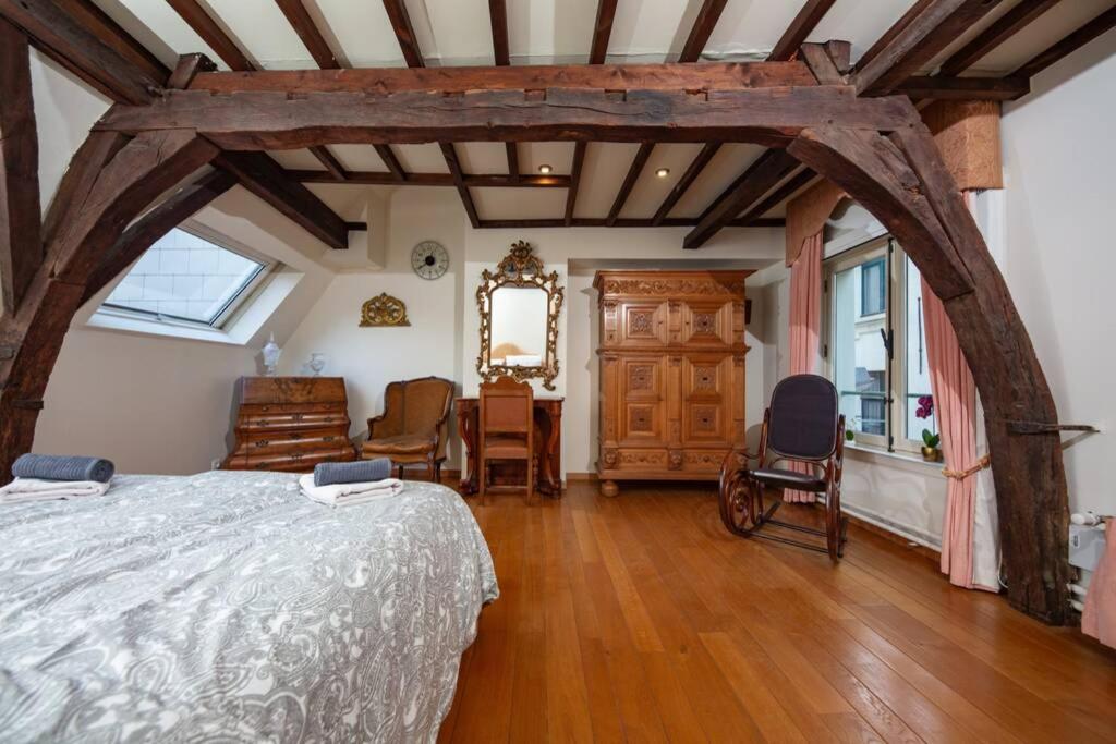 HOFMARKGRAAF - Unique apartment in historic Antwerp mansion - Hizvo