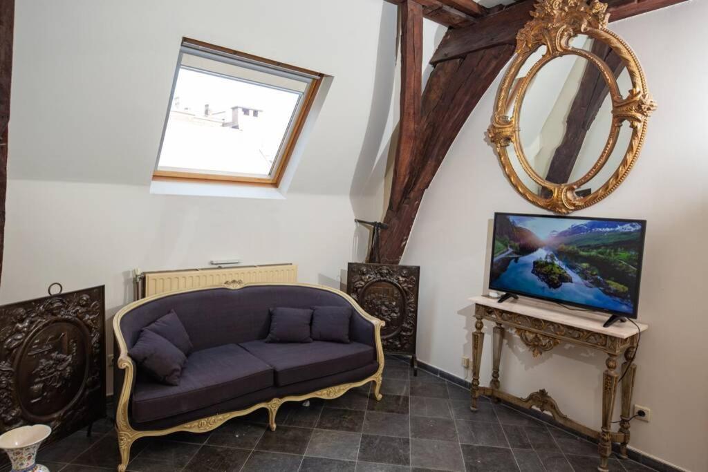 HOFMARKGRAAF - Unique apartment in historic Antwerp mansion - Hizvo