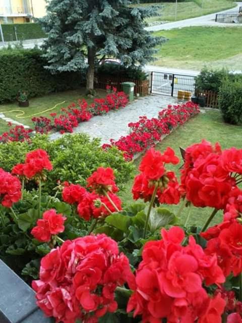 Chez Margot - Housity