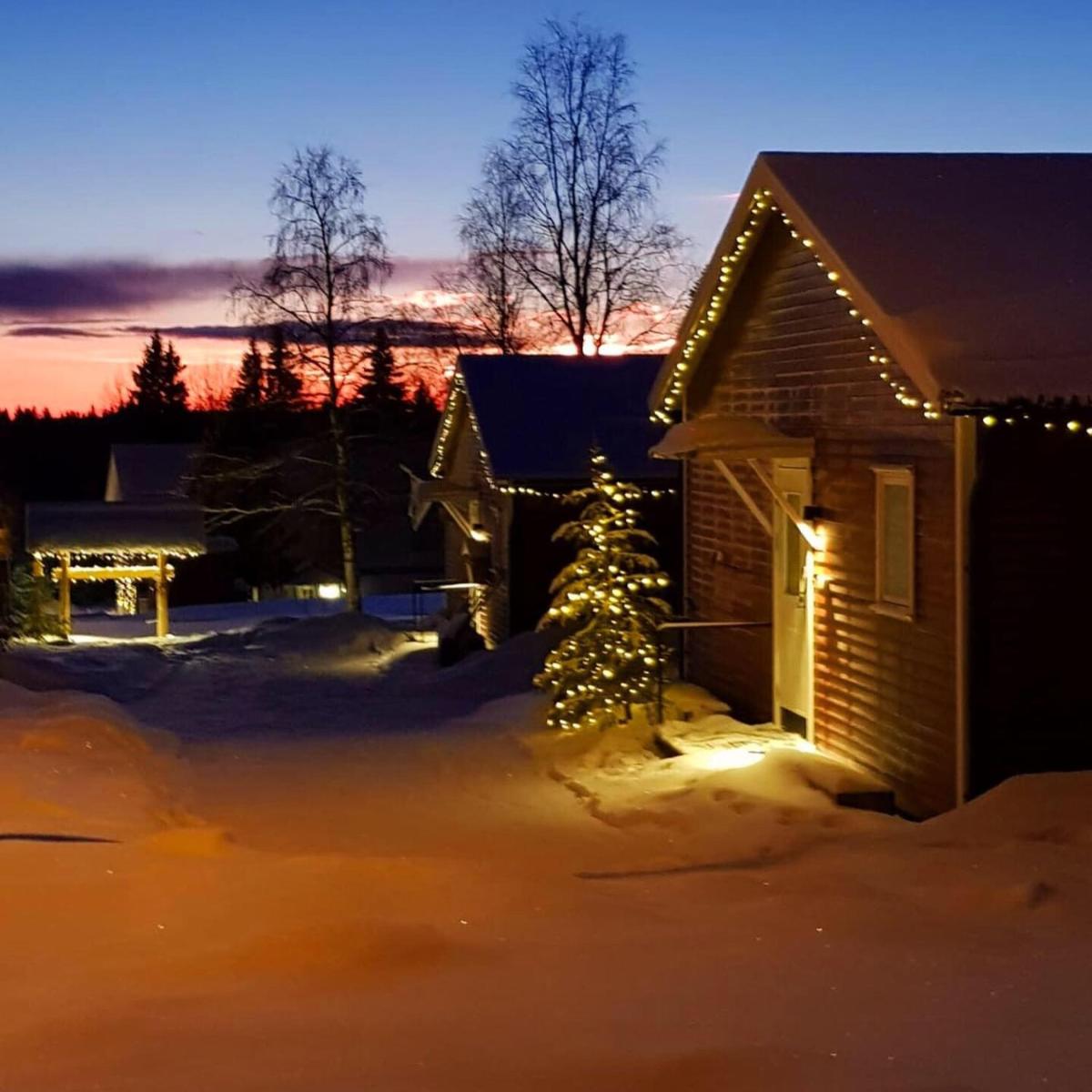 Lapland Stuga & Tours Cottage E - Housity