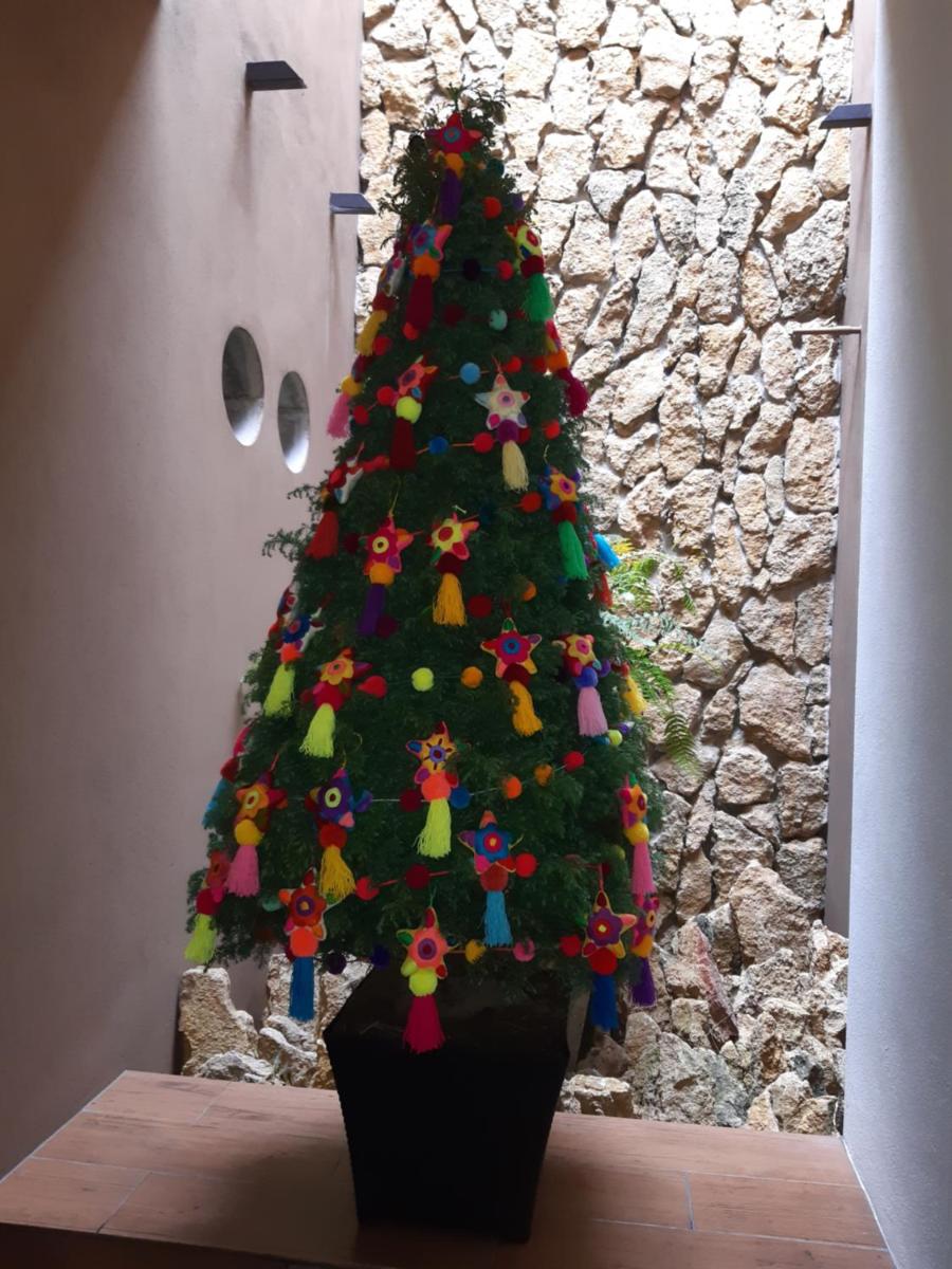 Casa 5 Bed & Breakfast - Housity