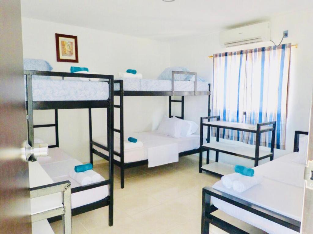 host Casa Don Arturo - Housity