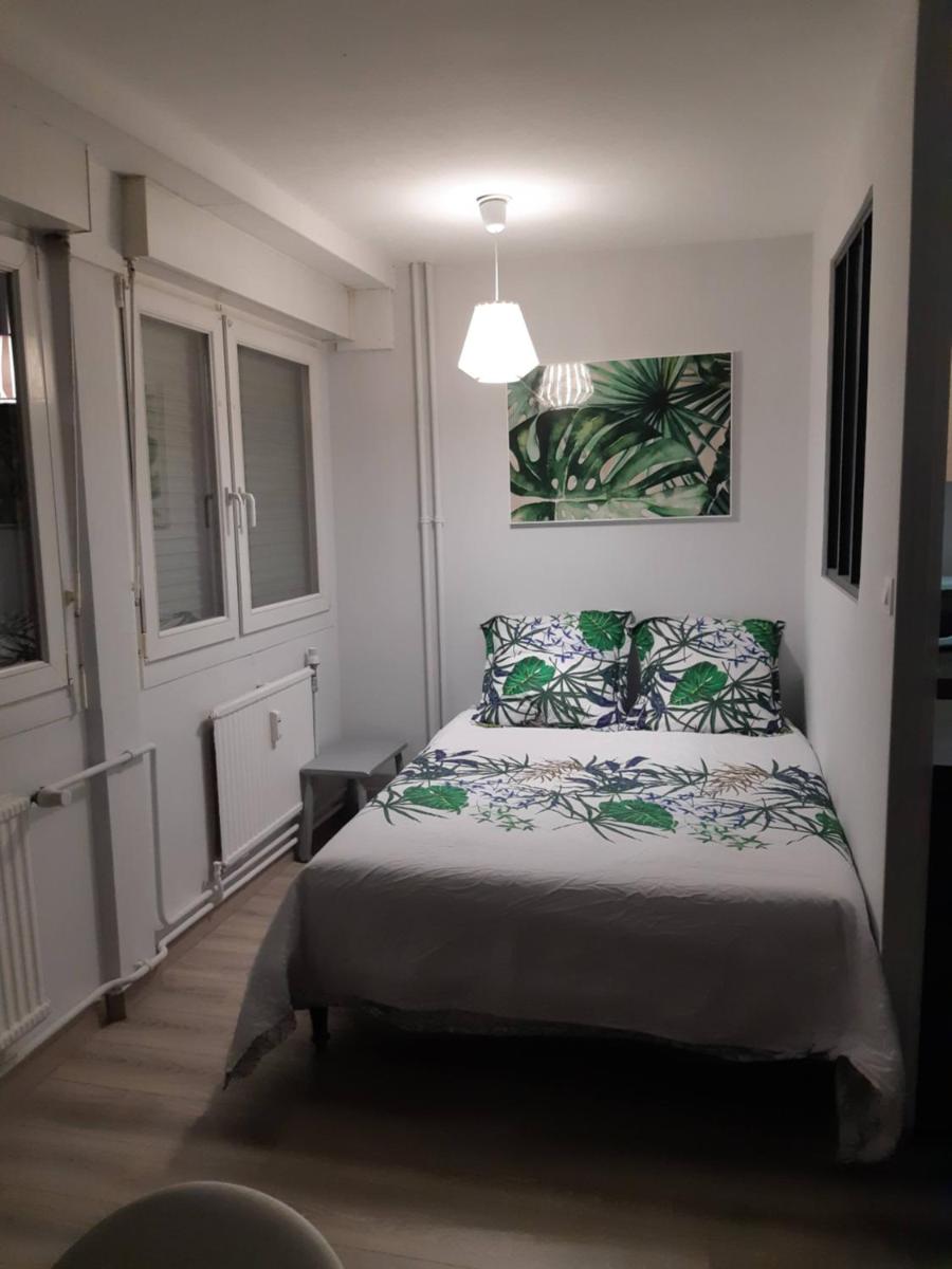 Jungle - Housity