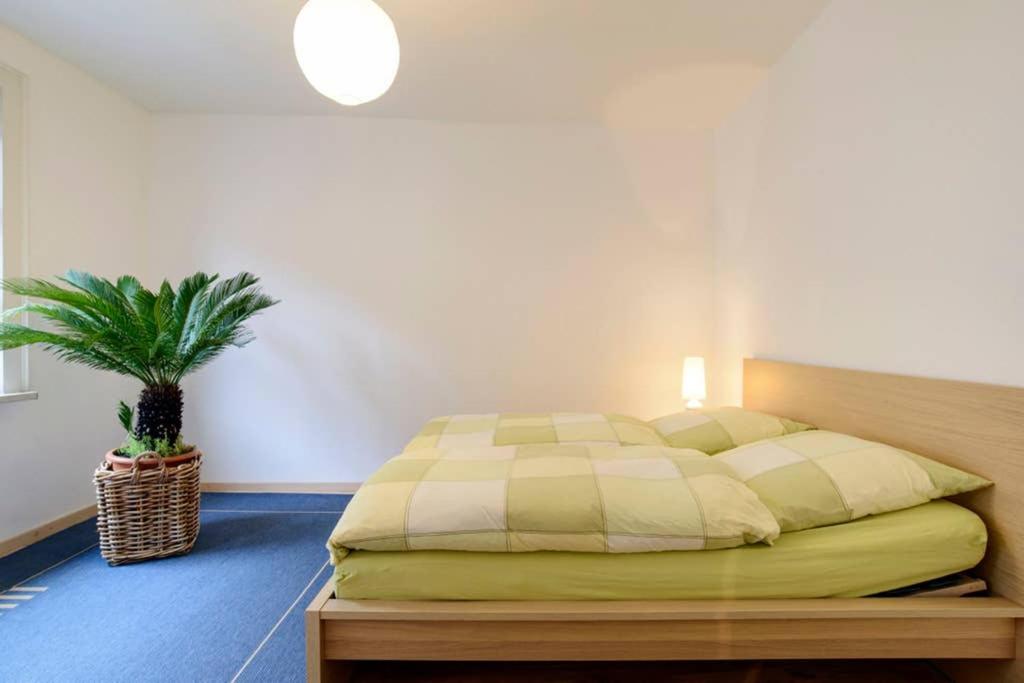 Suitetrails - Ferienwohnung Erfurter Altstadt