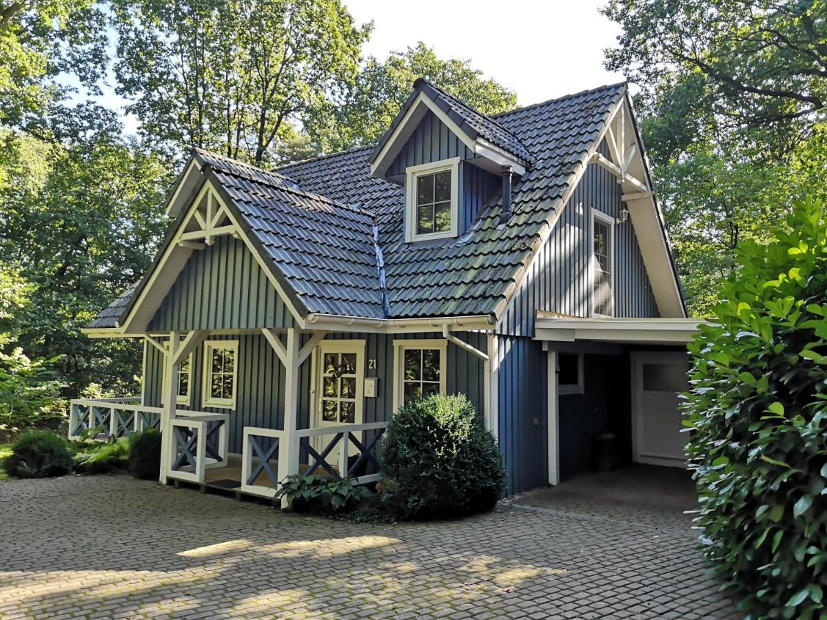 Das blaue Haus - Housity
