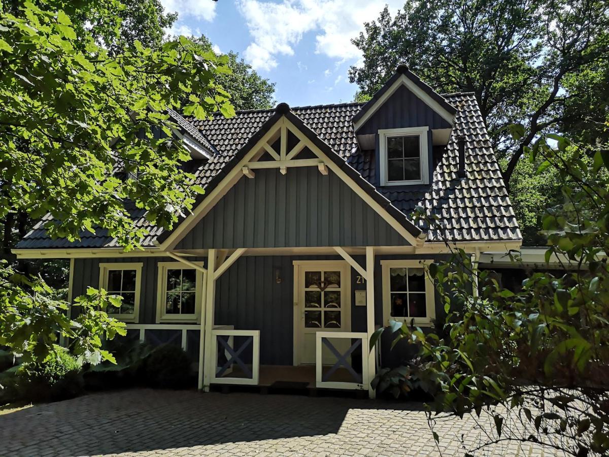 Das blaue Haus - Housity