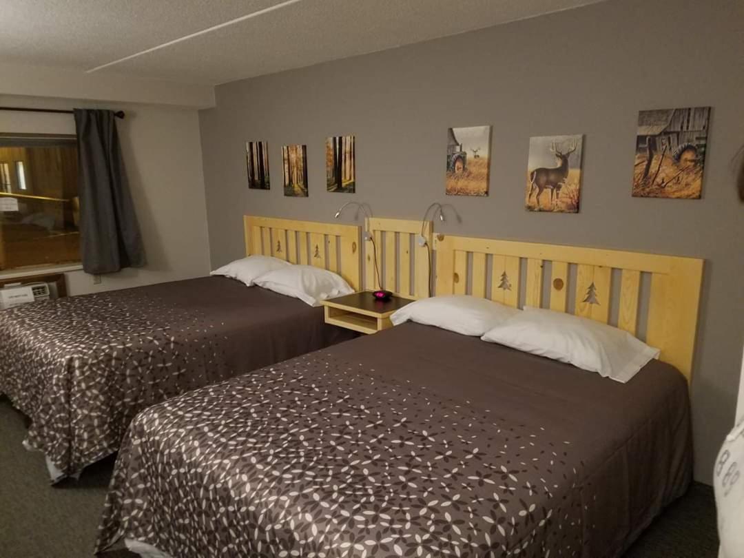 Northern Lights Inn - Housity