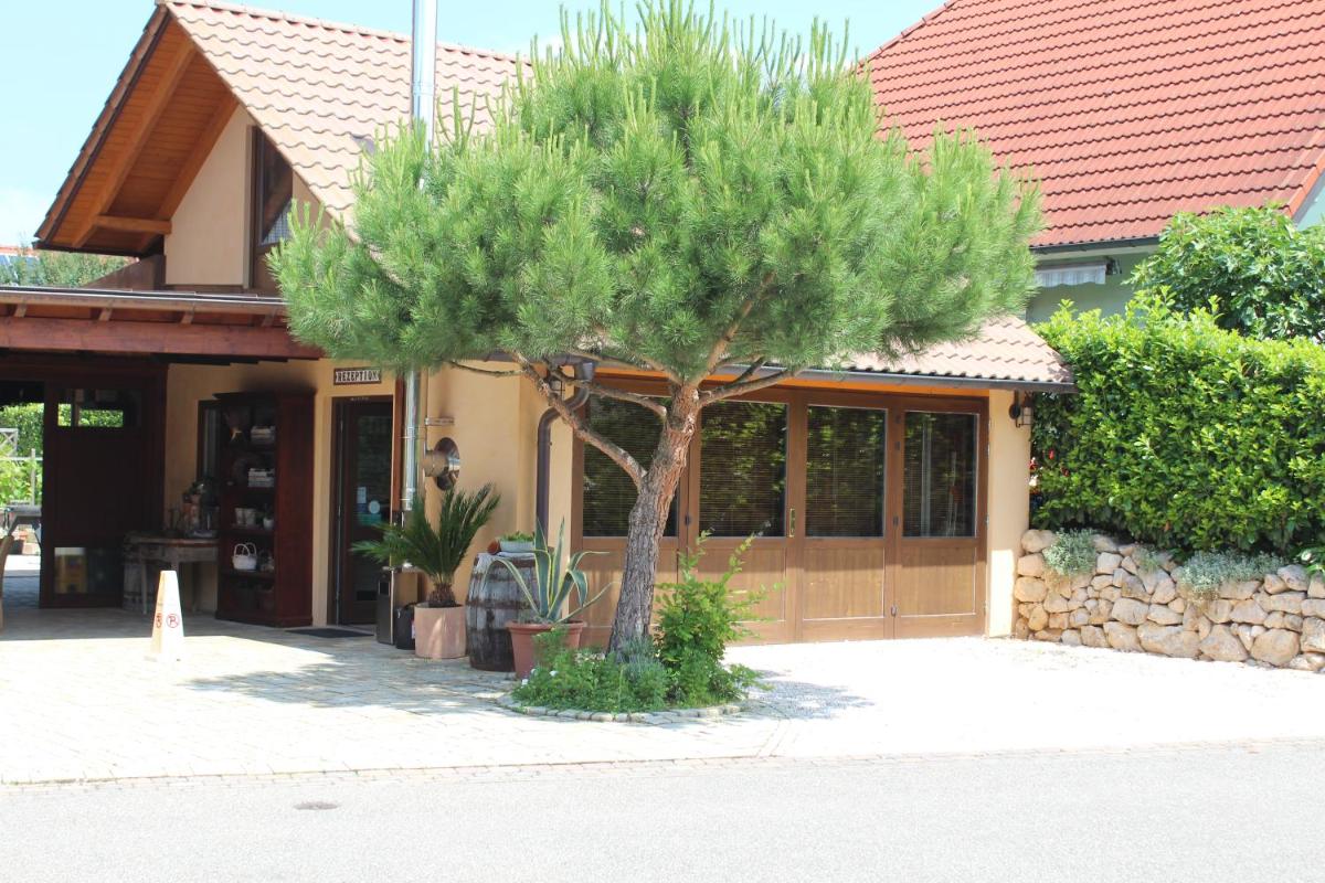 Pension Vanii, Apartments - Housity