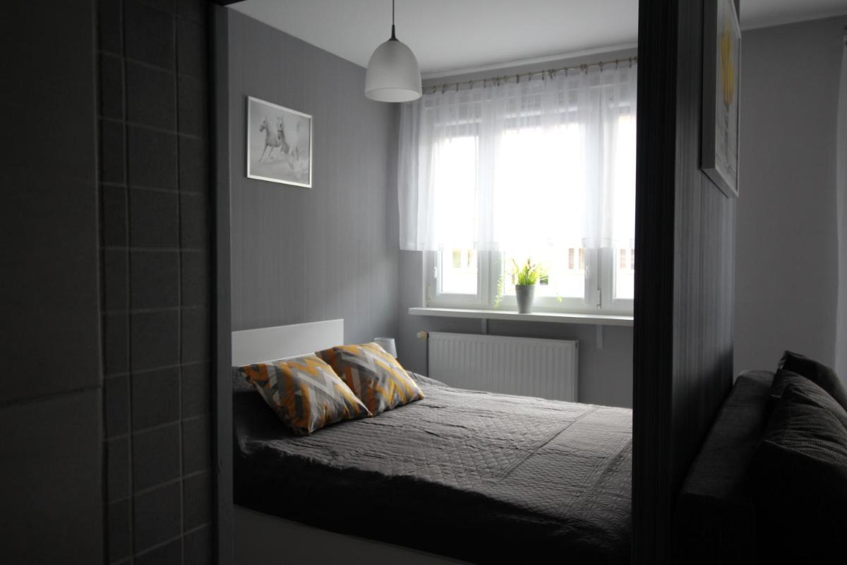 Studio Zabobrze - Housity