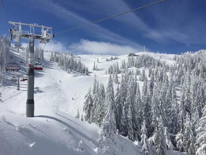 Vila Gora Jahorina - Housity