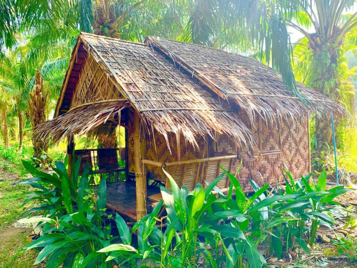 Lantacoconutgardenbungalow - Housity