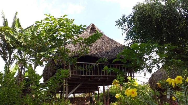 Sunny Field Eco Stilt House - Housity