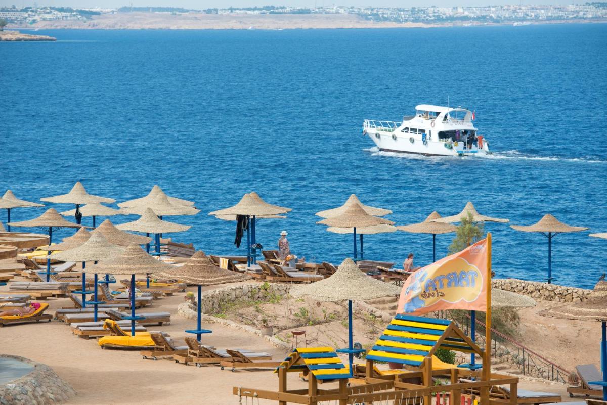 Amphoras Blu - Housity