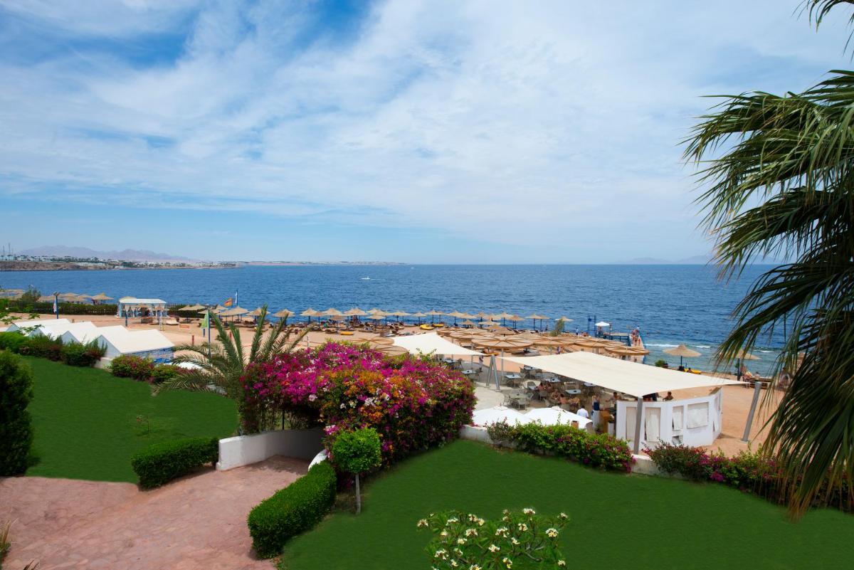 Amphoras Blu - Housity