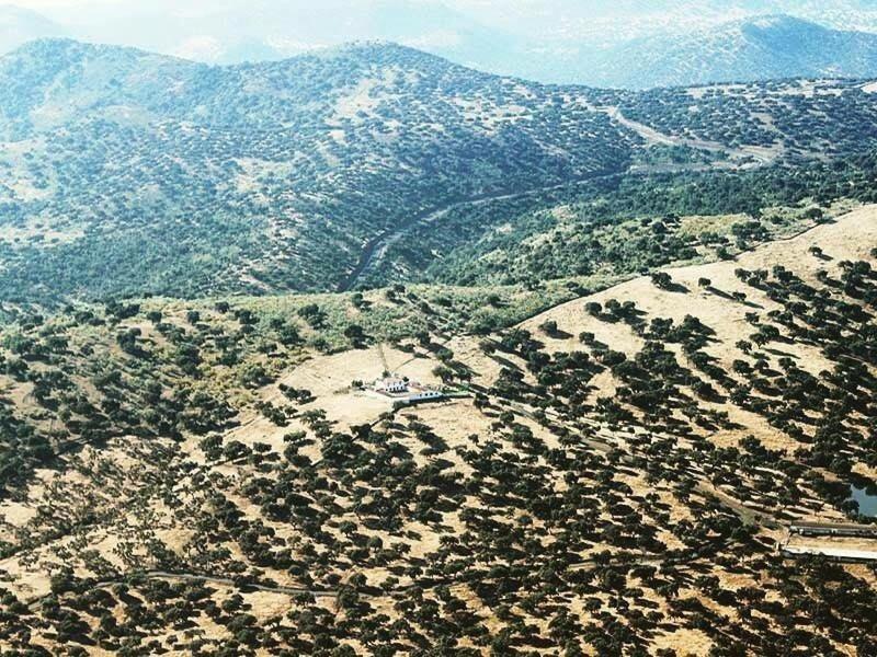 FINCA LAS DEHESILLAS - Housity