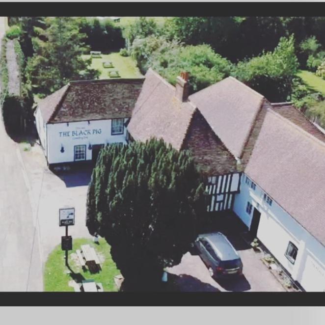 The Black Pig Public House - Housity