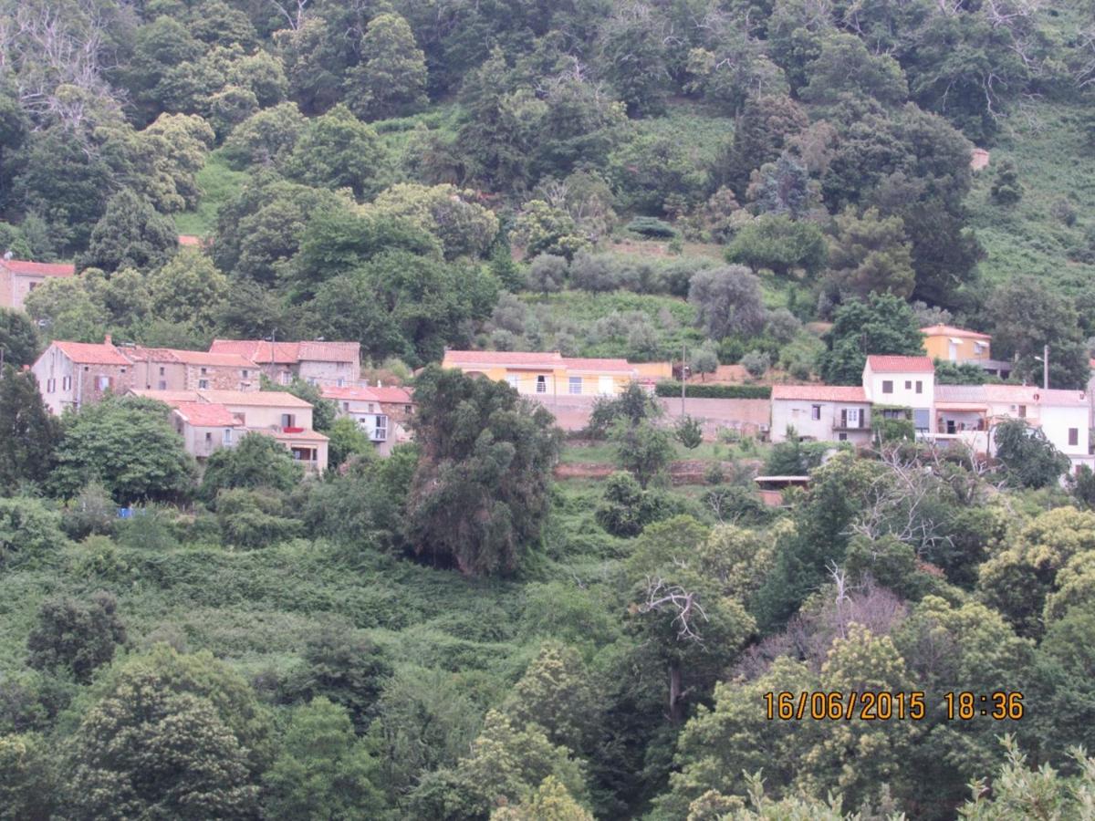 Peri village - Housity