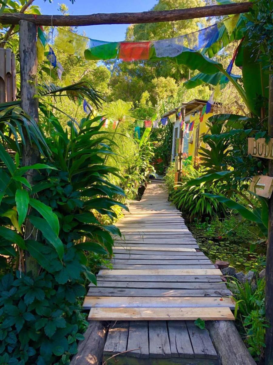 El refugio de budda - Housity
