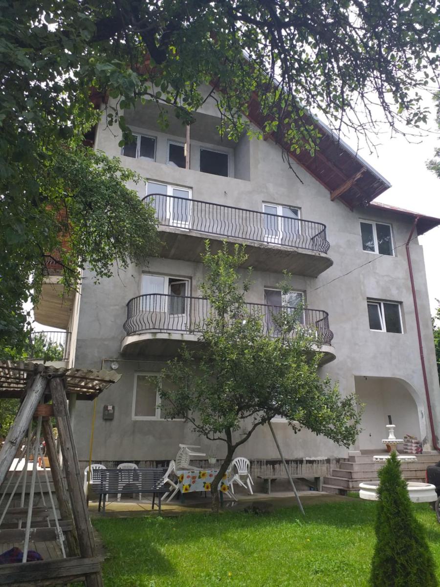 Vila Elena si Ionut - Housity
