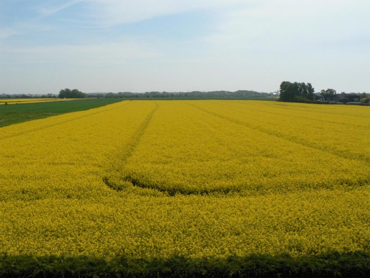 Suitetrails - Ein Haus am Kornfeld