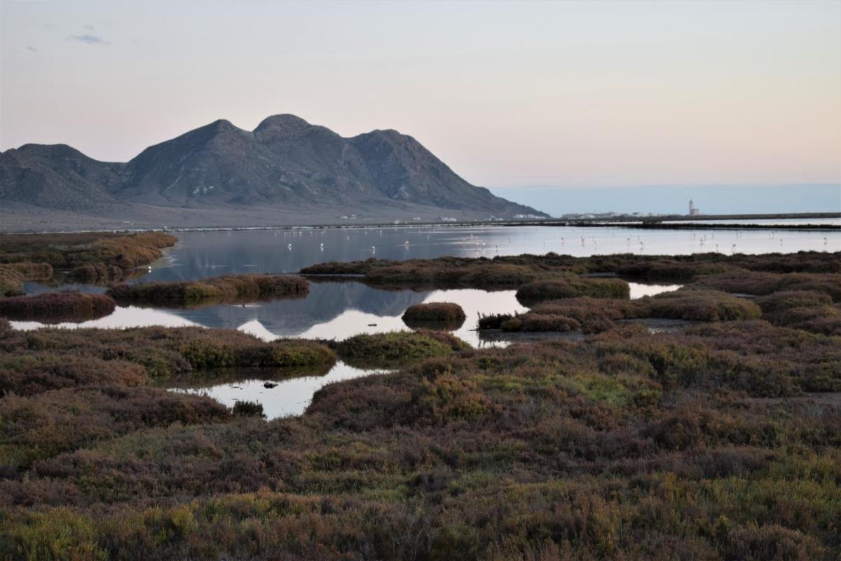 Cortijo La Molina de Cabo de Gata - Housity